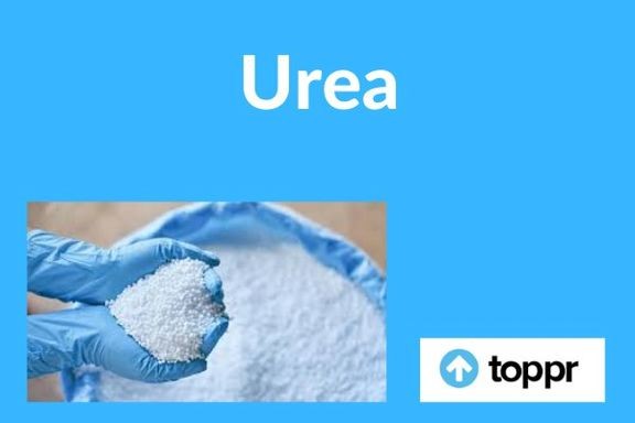 تداوم نبرد در مناطق مختلف غزه / انهدام ادوات نظامی صهیونیست‌ها در جبالیا