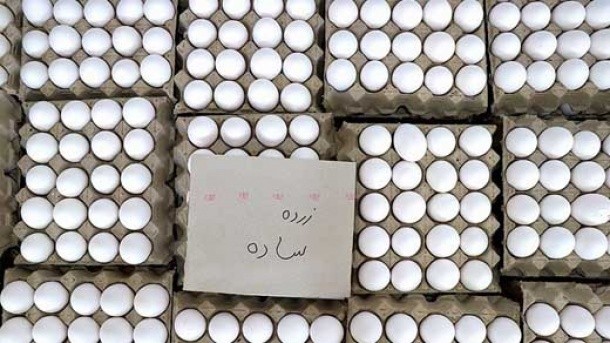 صادرات تخم مرغ آزاد شد