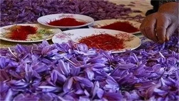 قیمت عجیب زعفران در بازار