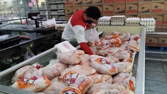 قیمت مرغ در بازار امروز