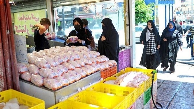 گوشت مرغ گران شد؛ صادرات هم ادامه دارد
