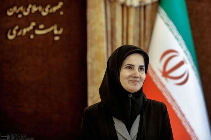 جنیدی: میان امور مدنی و خشونت‌بار تفکیک قائل شویم