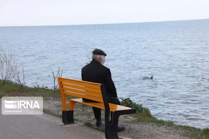 اجرای افزایش سن بازنشستگی از ابتدای ۱۴۰۳/ با قانون قبلی هم می‌توان بازنشسته شد