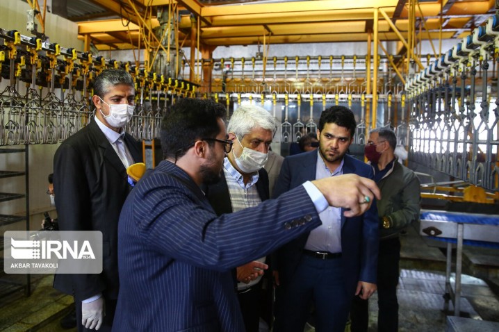 تامین ۱.۵ برابر اقلام پروتئینی کشور/ صادرات ۵ محموله گوشت مرغ