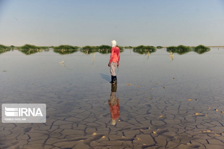 تاکید دولت بر تامین حقابه هامون/ افغانستان هم از گردوغبار در امان نیست