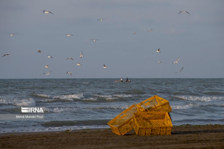 اقدامات سازمان بنادر در قبال کاهش تراز آب دریای خزر/ آیمو نباید سیاسی عمل کند