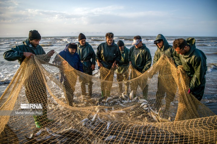 آغاز موسم شکار ماهی استخوانی در گلستان