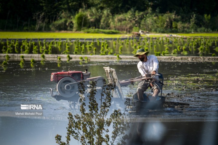 بالغ بر ۹۰ درصد آب در بخش کشاورزی مصرف می شود