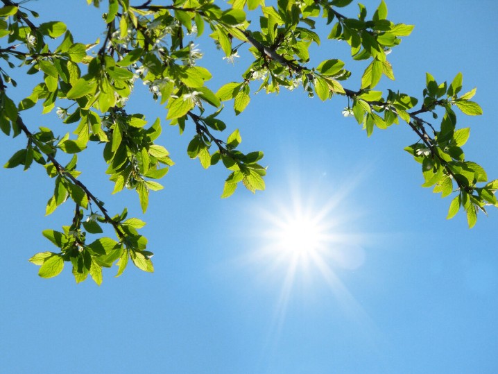 پایداری هوا در اغلب مناطق کشور/ رگبار باران در جنوب شرق