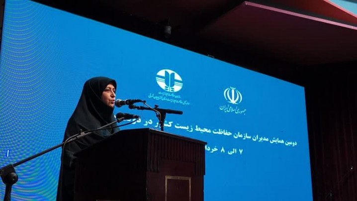 معاون رئیس جمهور: سالانه ۵۰۰ هزار دستگاه خودروی فرسوده باید نوسازی شود