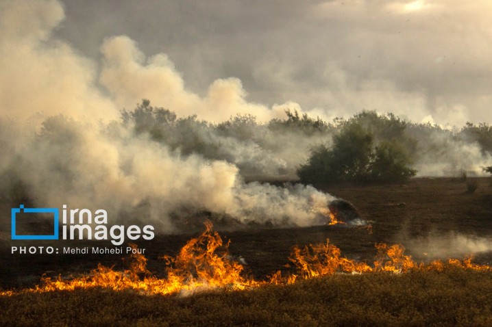 تلاش گسترده برای مهار آتشسوزیهای جنگل الیت/ اعزام هواپیماهای ایلوشن و همکاری بینالمللی