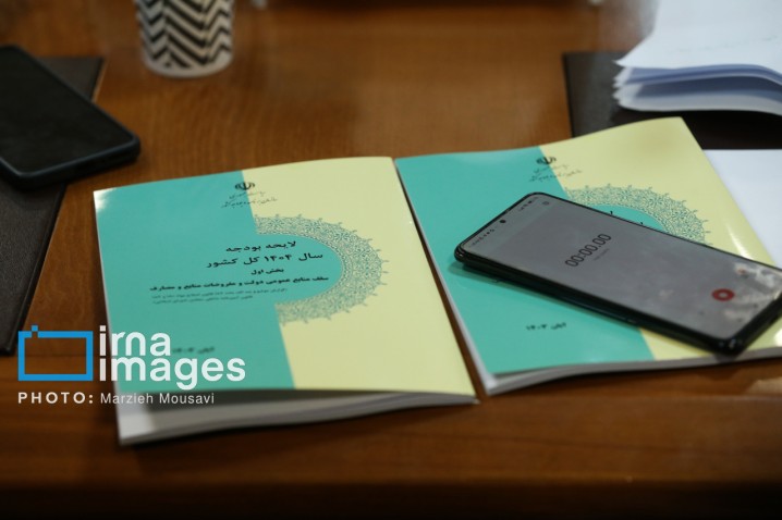 کوچک سازی دولت نسخه درمان کسری بودجه/ به سیاست های اصل ۴۴ بازگردیم