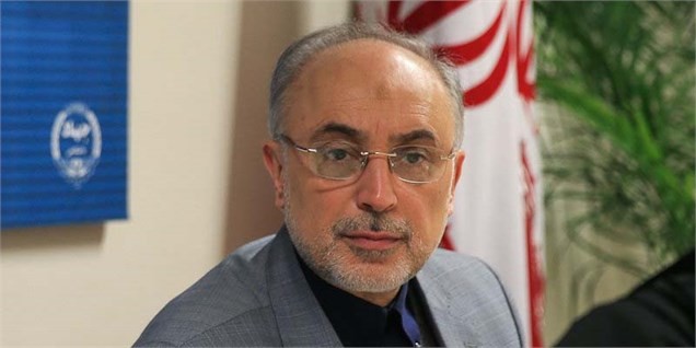 تلاش داریم تا ۱۵ دی برجام را عملیاتی کنیم