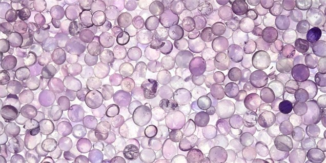 ادامه روند صعودی قیمت پلیمرها