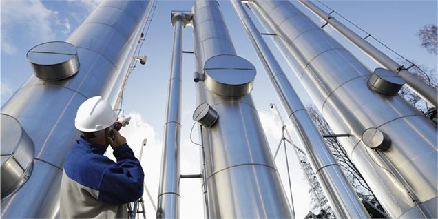 ریسک خوراک برای صنعت پتروشیمی