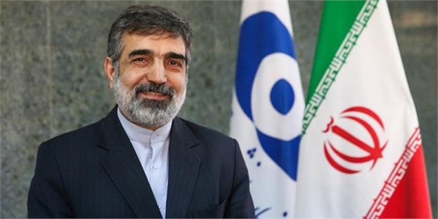 به زودی ۱۳۰ تن اورانیوم خریداری شده وارد ایران می‌شود