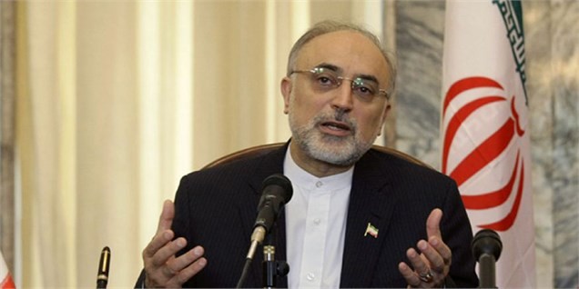 صالحی: بهانه انگلیس این است که ایران اورانیوم نیاز ندارد