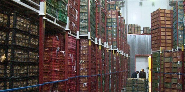 توزیع میوه شب عید از ۲۰ اسفند در بازار تهران