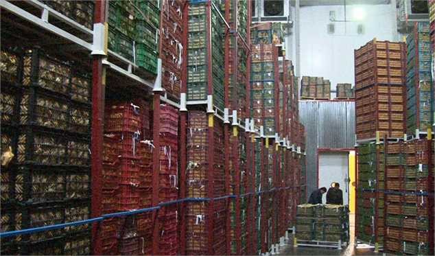 آغاز توزیع میوه شب عید