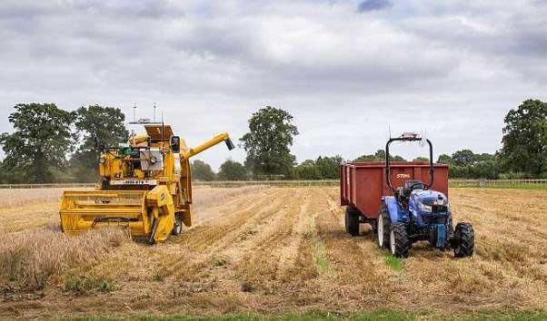 خرید تضمینی گندم از مرز ۷.۴ میلیون تن گذشت