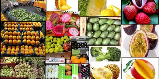 قیمت موز به کیلویی ۱۳ هزار تومان رسید/افزایش ۱۲ درصدی شش قلم میوه در بازار