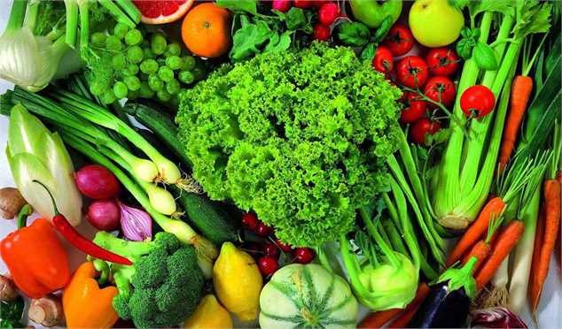 صادرات، رمز عبور بخش کشاورزی از تحریم