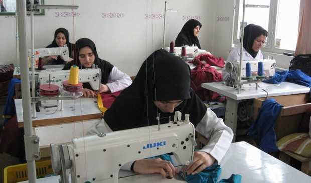 بانک اطلاعات تعاونی‌ها تشکیل می‌شود