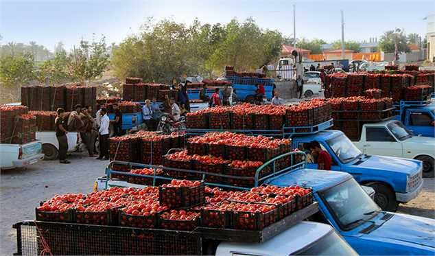 شرایط دریافت کارت سوخت وانت/تغییر روش تخصیص سهمیه از ۳ روز آینده