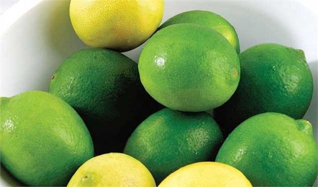 حباب کاذب قیمت لیموترش و لیموشیرین در بازار