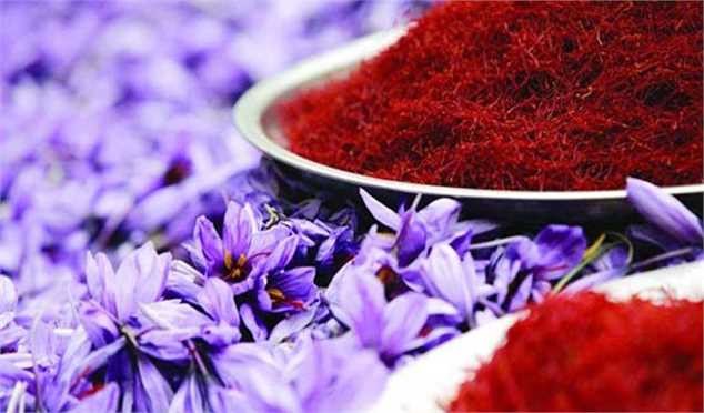 ضربه کرونا به زعفران
