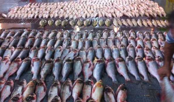 حل مشکلات واحد‌های تولیدی صنعت آبزی‌پروری با حمایت دستگاه قضا