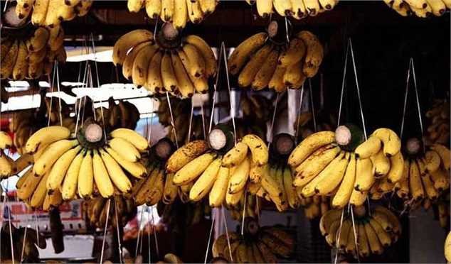 چرا موز ۴۰ هزار تومانی شد؟