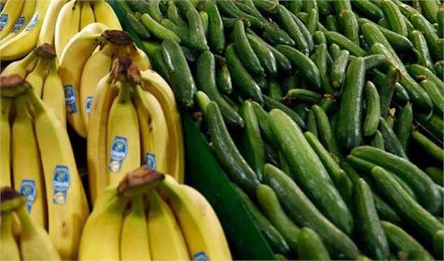 خیار ارزان شد/ نرخ هر کیلو موز داخلی ۱۸ هزار تومان