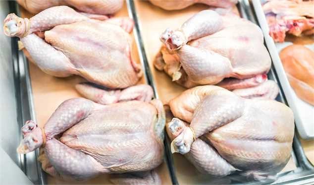 تکرار بی‌تدبیری در آستانه ماه مبارک رمضان/ مرغ بازهم گران می‌شود؟