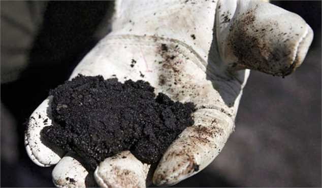 هیجان خرید در بازار وکیوم‌باتوم