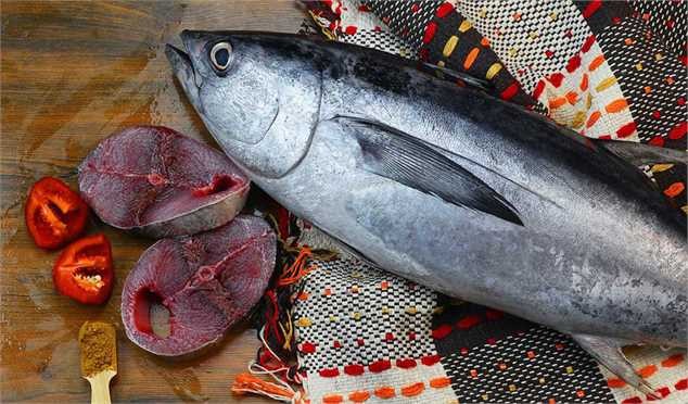 ۶۰ درصد ماهی تن، وارداتی است/ افزایش قیمت میزان مصرف را کاهش داد