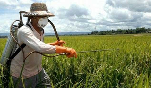 ۲۳ درصد از سموم مصرف شده در کشور پرخطر هستند/ هشدار نسبت به از دست دادن بازارهای صادراتی