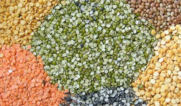 جنگ روسیه و اوکراین قیمت غلات را ۵۰ درصد افزایش داد