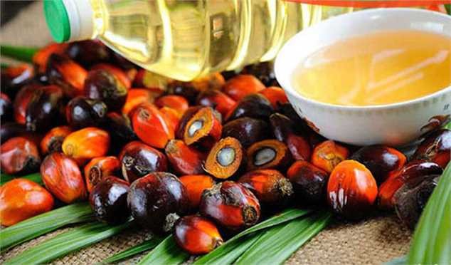 غول تولیدکننده روغن پالم در جهان، صادرات روغن را از سر می‌گیرد