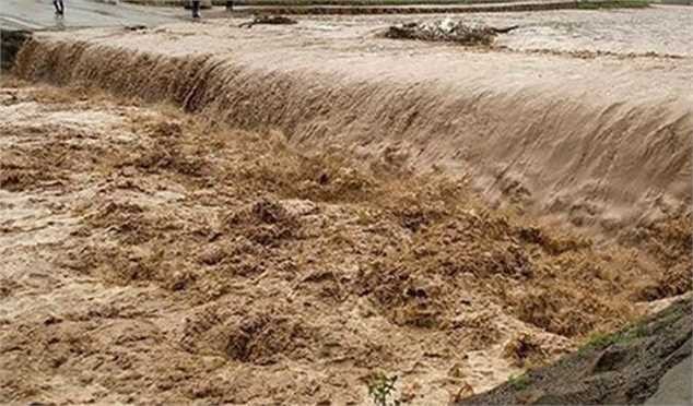 خسارت ۸۰۰ میلیارد تومانی سیل به صنعت شیلات/ مرگ ۸ هزار تن ماهی