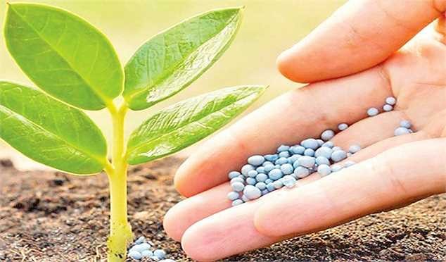 واردات کود شیمیایی از انحصار دولت خارج می‌شود