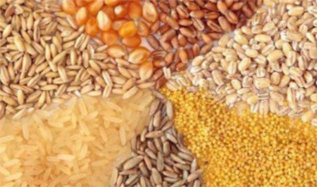 قیمت‌گذاری دستوری فروش نهاده‌های دامی منجر به کاهش واردات می‌شود