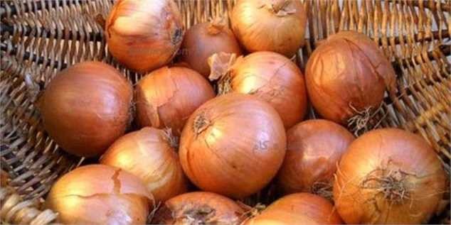 منصوری: رییس‌جمهور هفته آینده به یزد می‌رود