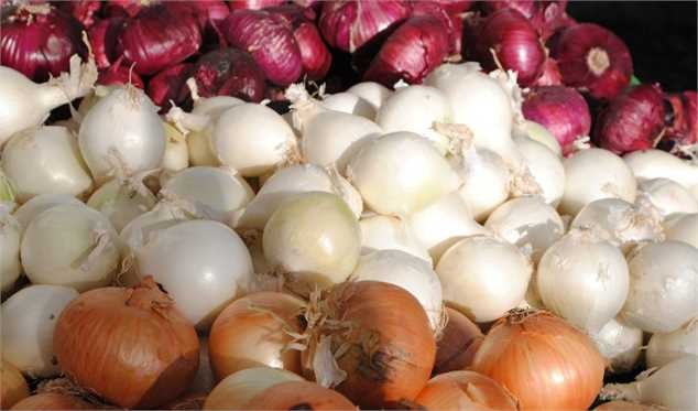 ریزش قیمت پیاز با توقف صادرات/ ۷۰۰ تن پیاز در میدان میوه و تره‌بار ماند