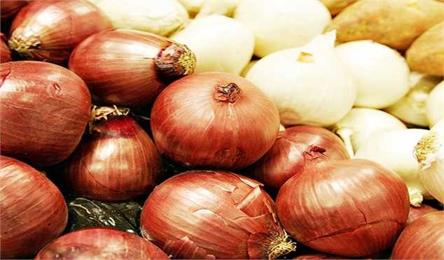 محدودیت صادرات پیاز لغو شد