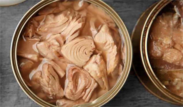 افزایش قیمت کنسرو ماهی تکذیب شد