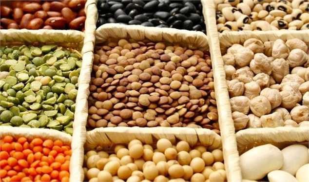 مصرف ۹۰۰ تا ۱.۵ میلیون تن حبوبات در کشور / واردات ۲۵۰ هزار تن