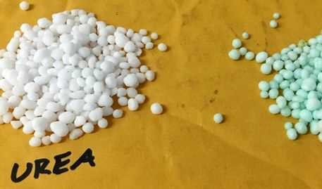 سانسرز: افزایش 3.27 درصدی قیمت‌ اوره چین