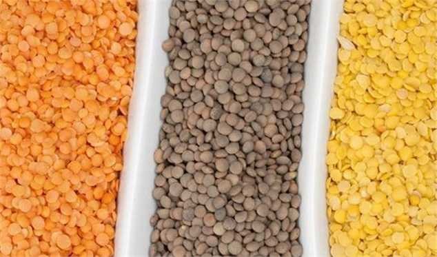 امکان خودکفایی در تولید حبوبات با ۳ اقدام/ سالانه ۸۰ هزار تن عدس از کانادا وارد می‌کنیم