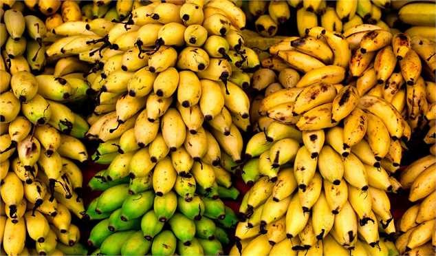 کاهش قیمت موز و انواع میوه و صیفی در هفته پایانی دی ماه